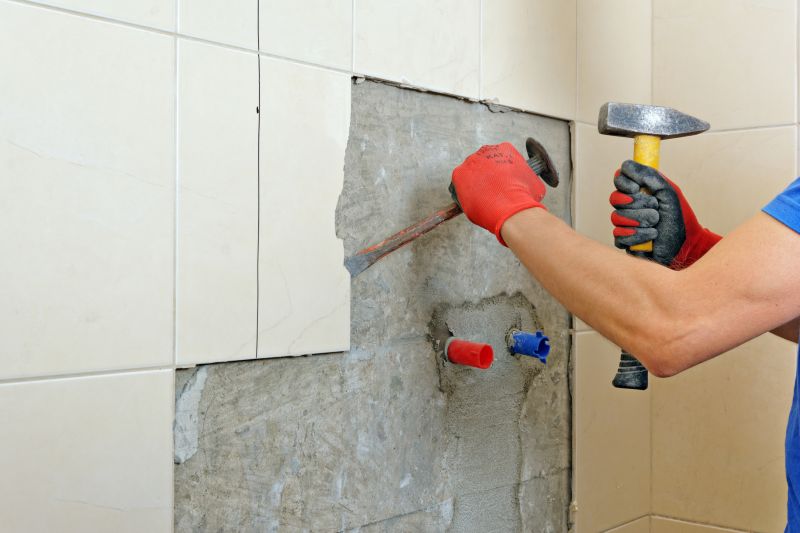 Top Bathroom Remodeling Companies in Ruskin, FL